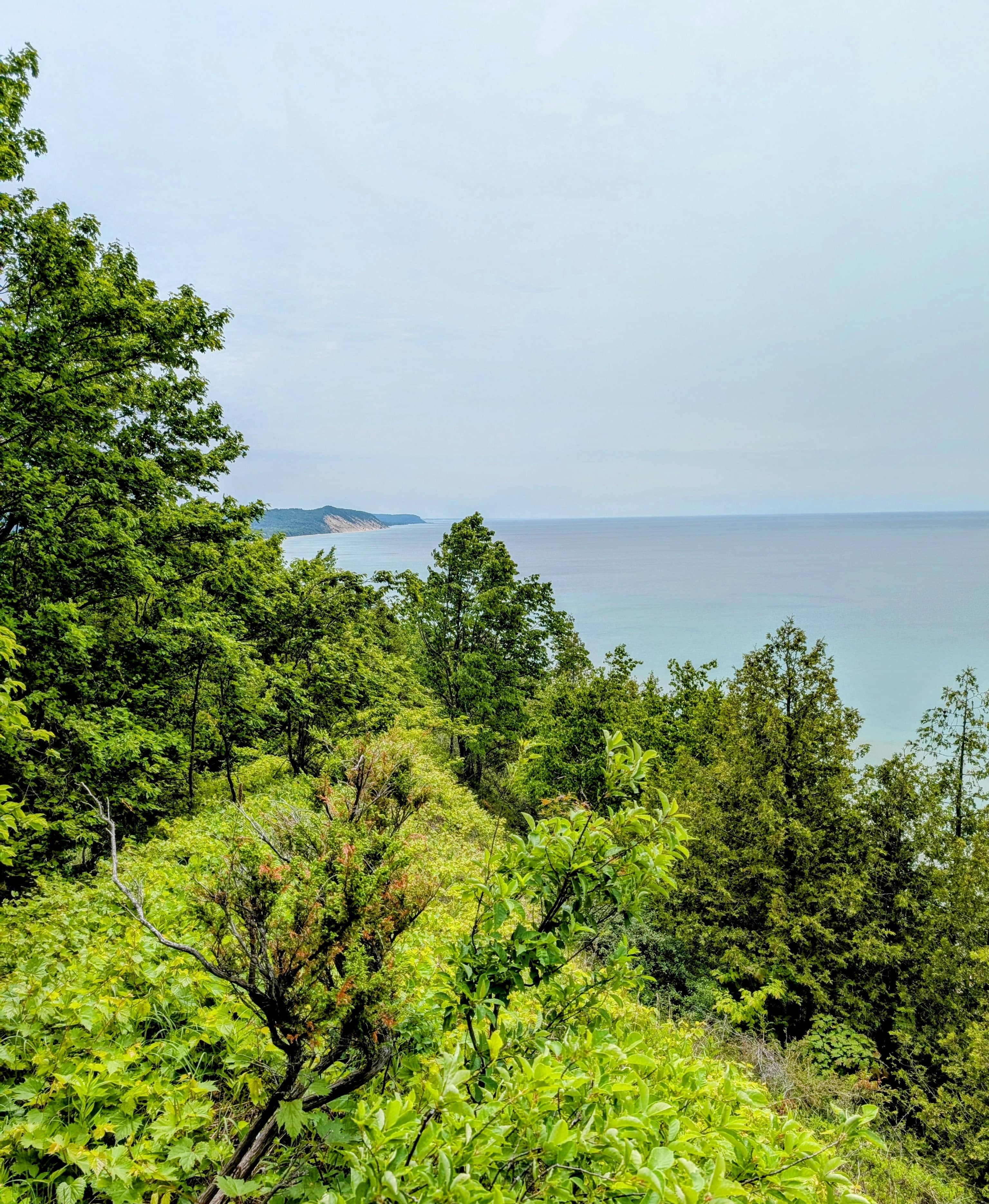 A lush green landscape overlooking a calm body of water with distant hills under a cloudy sky.