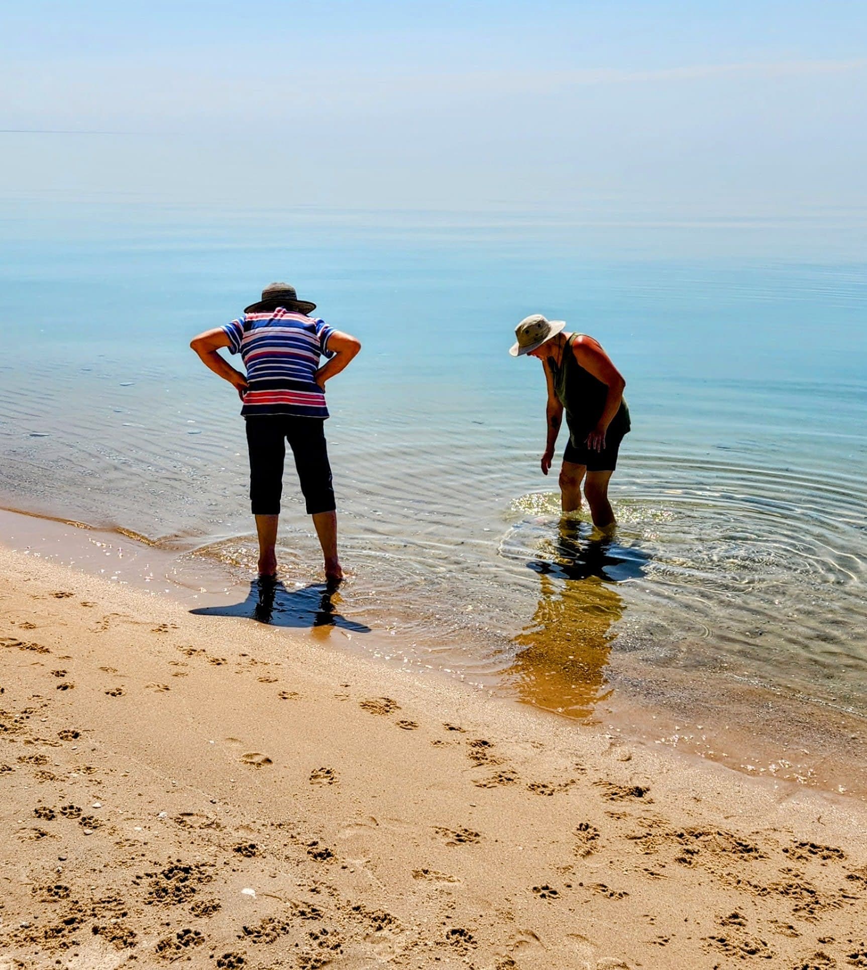 Two people standing by the water's edge, examining the shallow water on a sunny day.