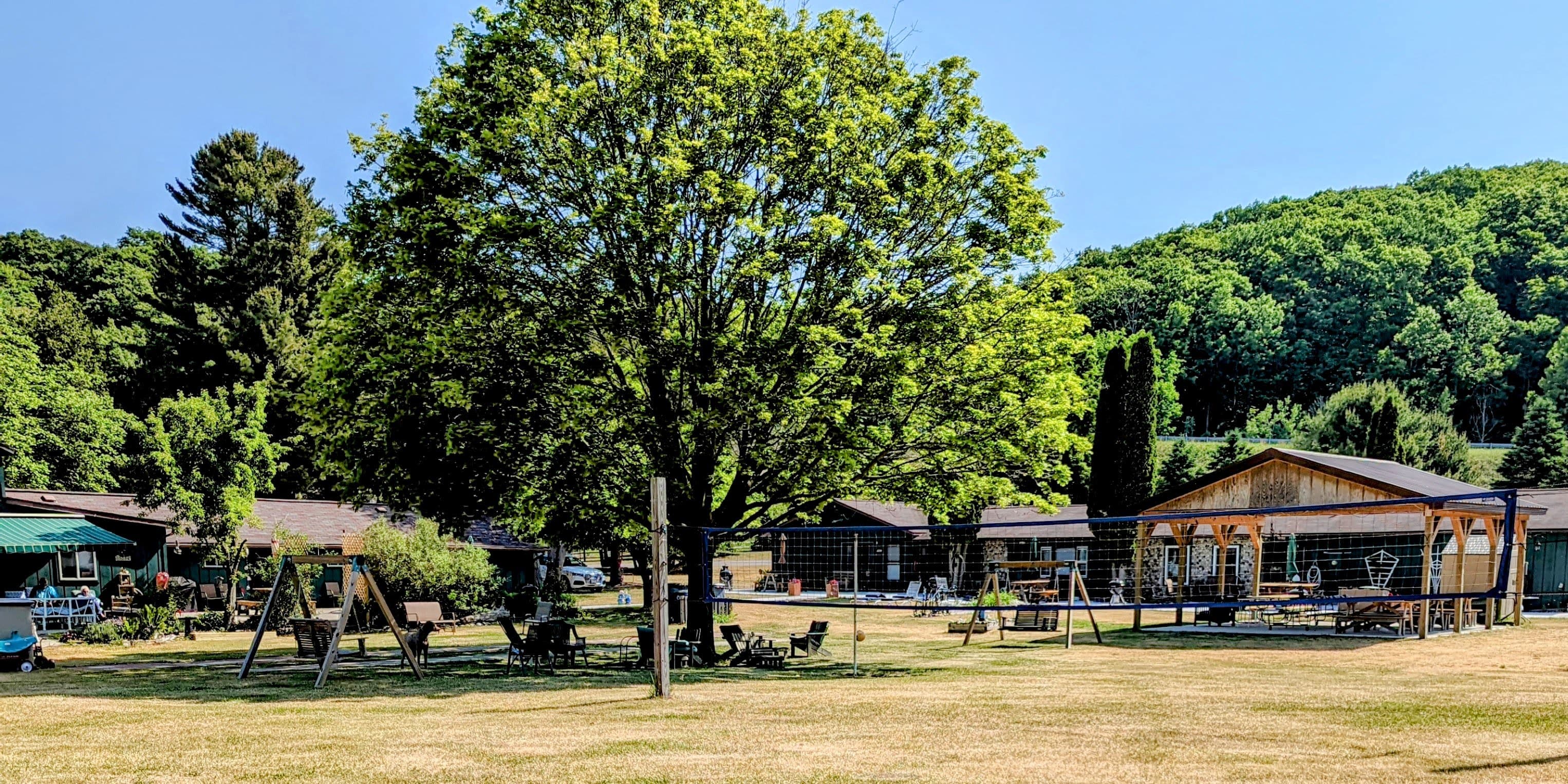 A large green tree stands in a grassy area surrounded by cabins and a playground under a clear blue sky.