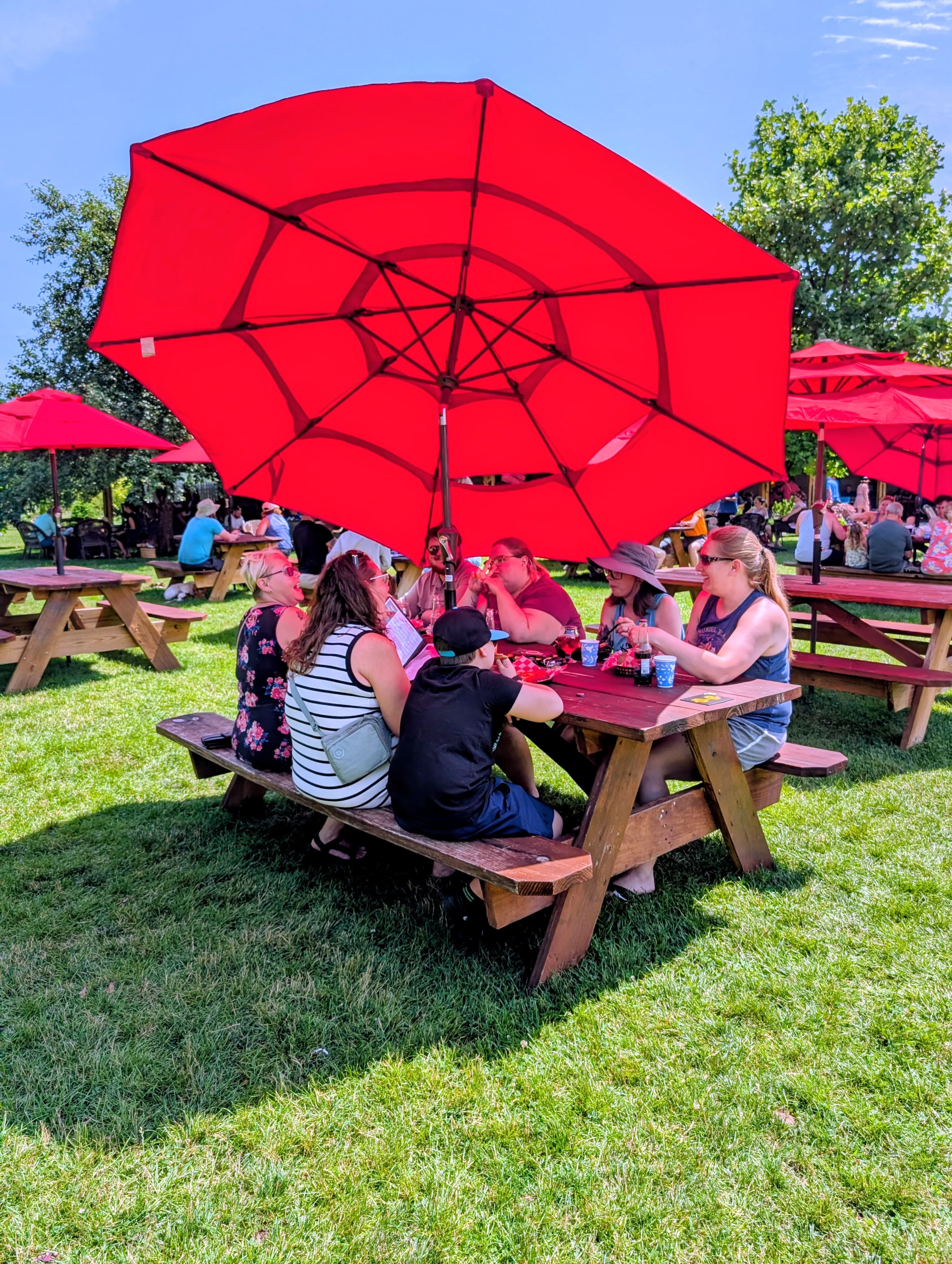 A group of people sitting under a large red umbrella at an outdoor picnic area.