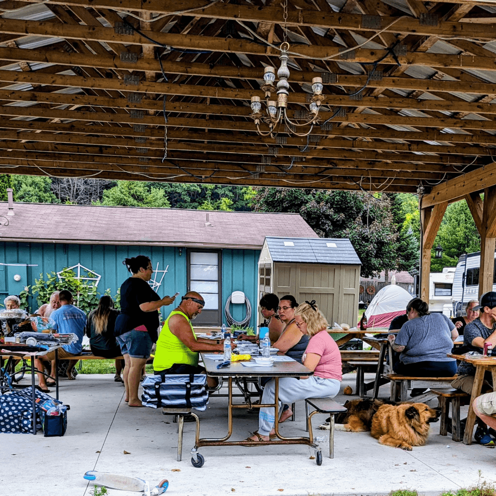 A group of people are gathered under a shelter, dining and socializing at tables, with a dog resting nearby.