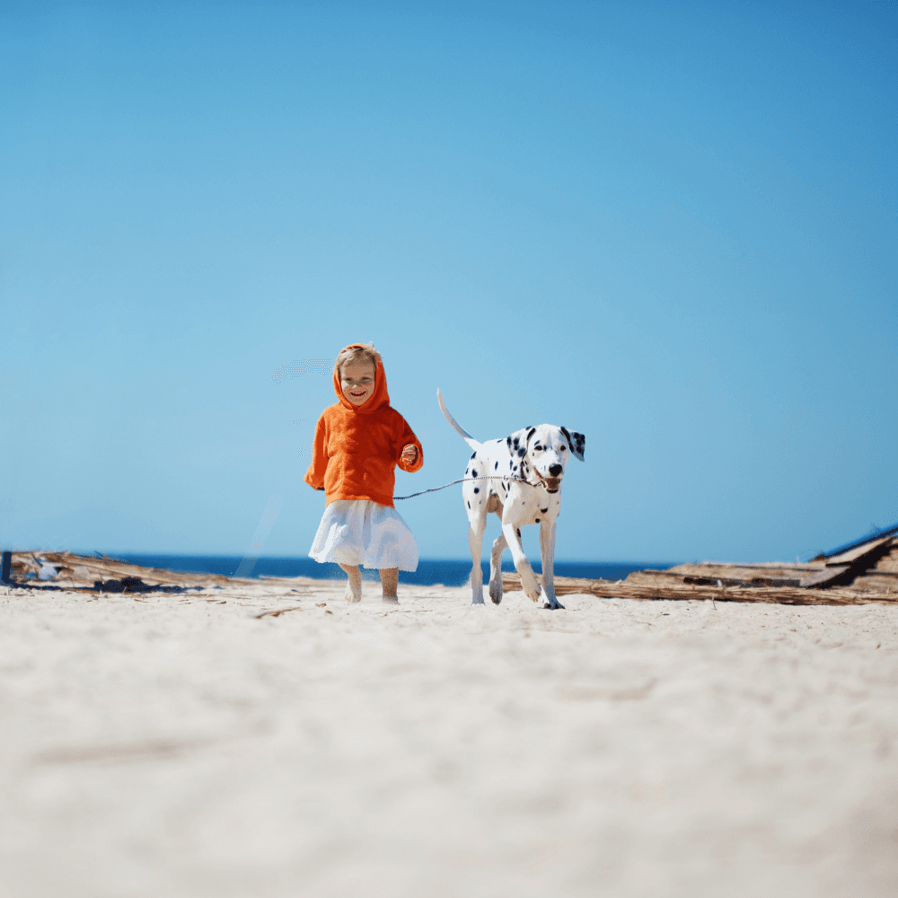 A child in an orange hoodie walks joyfully alongside a Dalmatian on a sandy beach.