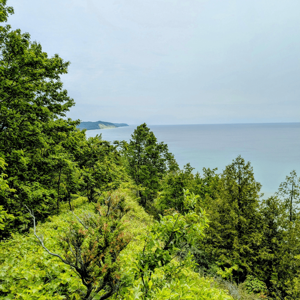 A serene view of a coastline surrounded by lush greenery under a cloudy sky.