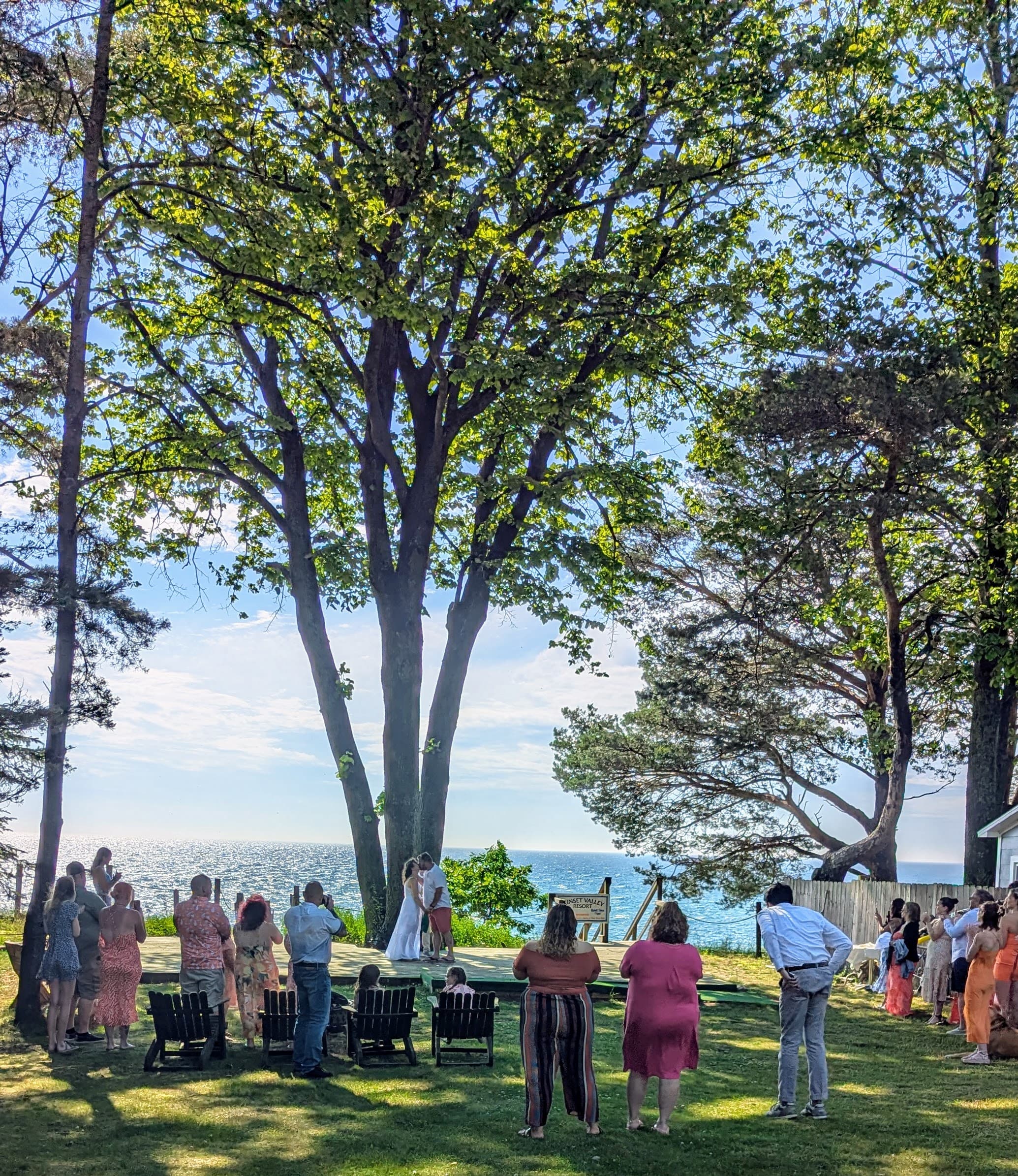 A wedding ceremony takes place outdoors by the water, with guests watching under a large tree.